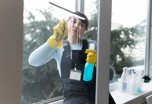 Nettoyage de vitres intérieures et extérieures à Mimeure
